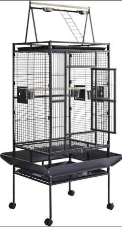 WhatsApp Image 2025-02-18 at 4.13.06 PM (2)